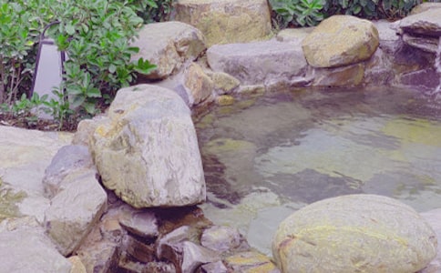 溫泉之旅作文(優(yōu))