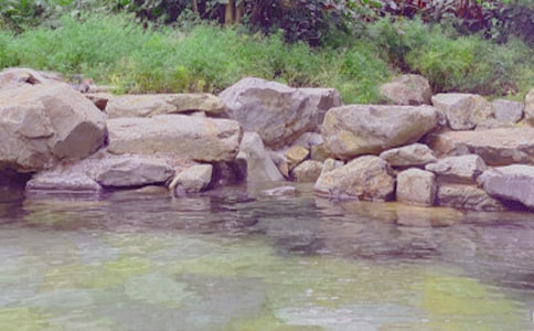 泡溫泉作文【推薦】