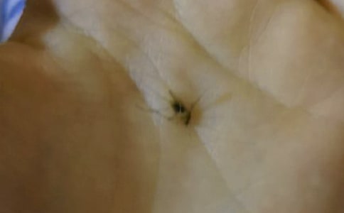 ���ӵĆ�ʾ����