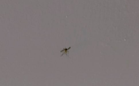 �o���ӵ�һ���ž��x15ƪ