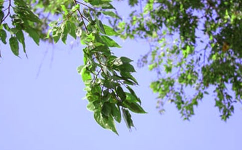 2022年勵(lì)志午安語(yǔ)錄47句