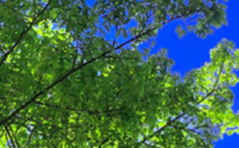 �P(gu��n)��Ψ���簲�İ���ȫ100�侫�x