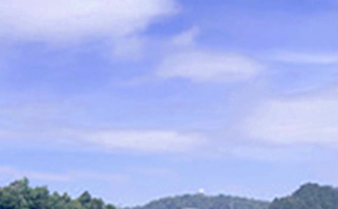 Ψ���簲�İ���ȫ��ͨ��50�䣩