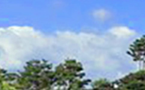 �簲���Z��(y��u)���Ķ̾䣨���x150�䣩