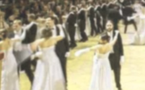 小學(xué)動(dòng)物畫妝舞會(huì)作文