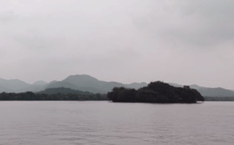 �茑(xi��)�����ă�(y��u)��Ԋ(sh��)��100��