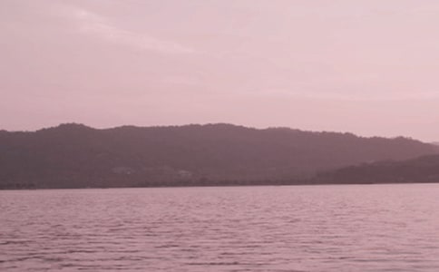 西湖的春美作文