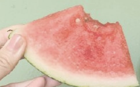 夏日感懷作文700字