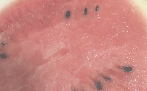 夏日自然作文(合集10篇)