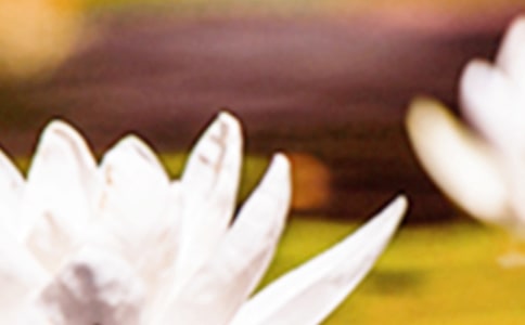 ���P(gu��n)������Ԋ(sh��)�䣨���x160�䣩