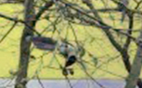 ���P(gu��n)С�B�͘�����4ƪ