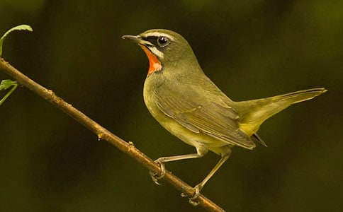 [�]]���o(h��)С�B���D��Ԓ