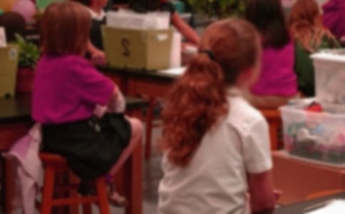 ���xӛС�W(xu��)���x��з���