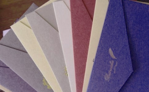 ��ʮ��ֻ�ŷ�F(xi��n)������x��