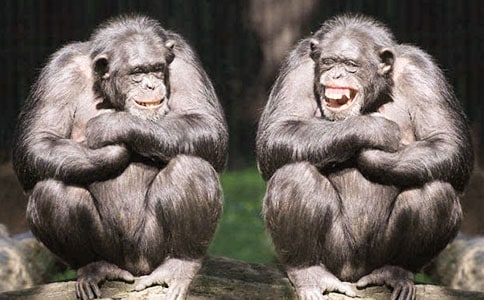 �ʹ��X�¸�ԁ����ë�Pԭ����עጼ��p��