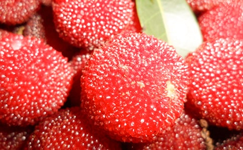 �Ґۼ��l(xi��ng)�ė�÷������ƪ