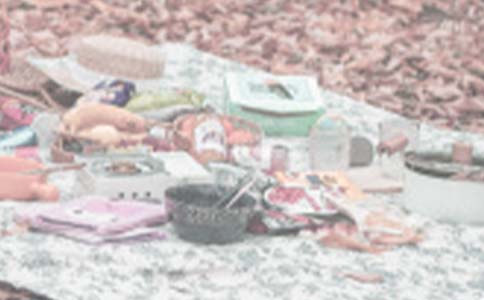 野餐的作文集錦(14篇)