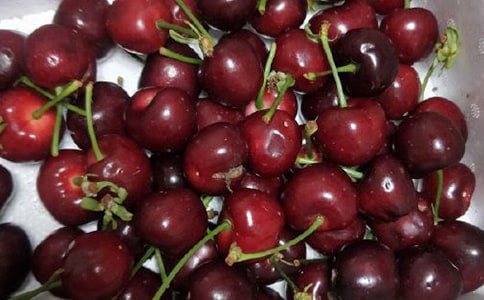 滿江紅·點火櫻桃宋詞賞析