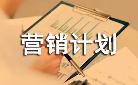雙十一營銷計劃書(精選31篇)