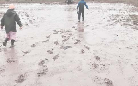 油田運(yùn)輸車隊(duì)管理提升成果匯報(bào)材料