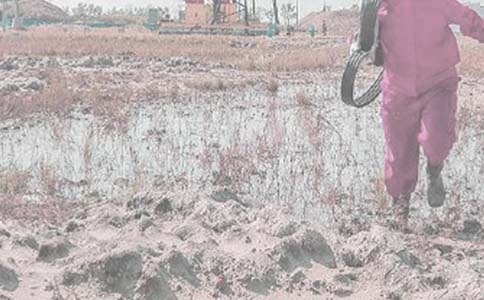 ���(sh��)��(x��)���Y(ji��)