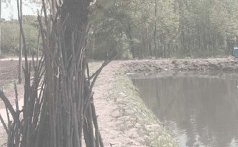 �~���И�(bi��o)����