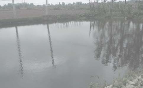 ���l(xi��ng)���~������