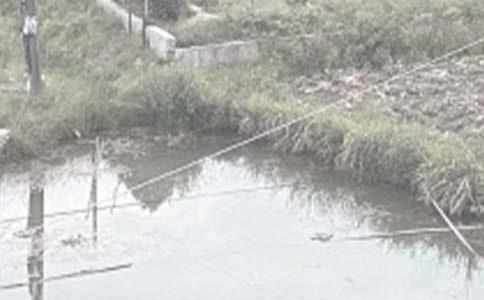 魚(yú)塘承包租賃合同范本(通用15篇)