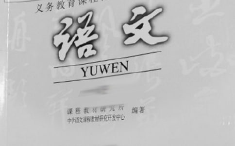 關(guān)于語(yǔ)文的總結(jié)