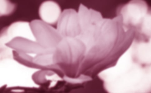 ���m��ٝ_700������