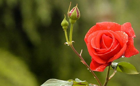 �Ґ��¼�����