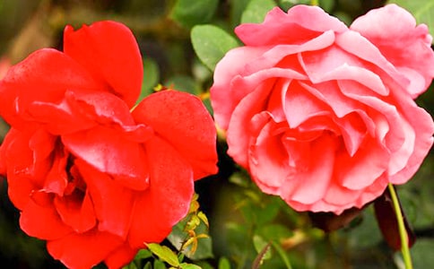 �¼�������400�֣�ͨ��33ƪ��