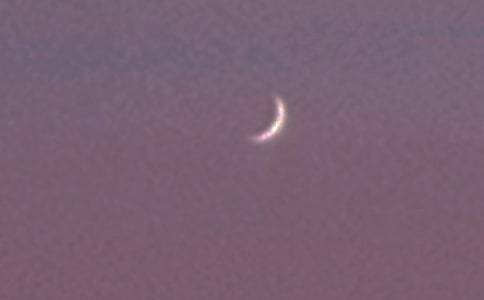 �茑������Ԋ���p��