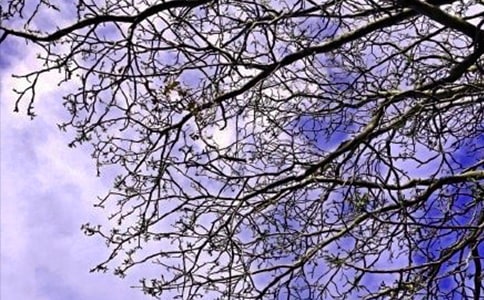 �����A��2022���־�簲�Z䛺ϼ�69��