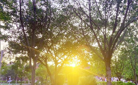 2022�꺆��������ϵ�簲���Z����Ȧ���\30�l