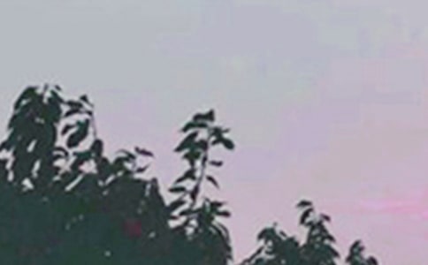 2021�ꃞ(y��u)�����簲���Z����Ȧժ�30�l