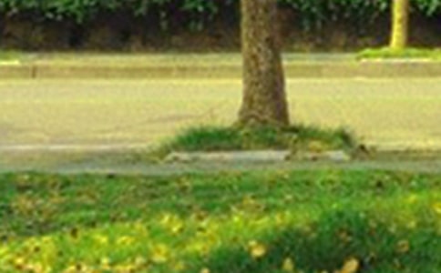 美好的早安微信祝福語25條