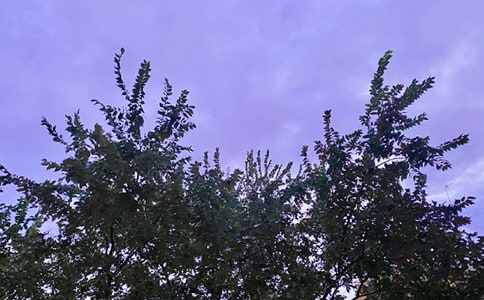 �m�����ϰl(f��)���簲���Z(y��)����Ȧ330��