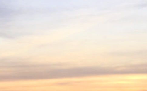 2022�ꌍ(sh��)�õ����õ��簲���Z(y��)����Ȧ19�l