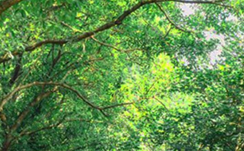 ��(ji��n)�ε��簲��(l��)־���Z(y��)䛼��\85�l