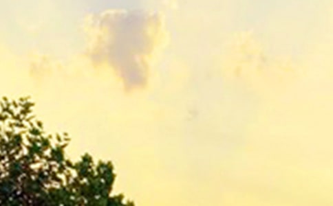 ����(sh��)�á�2021��ÿ��һ���簲����Ȧ�����Z27�l