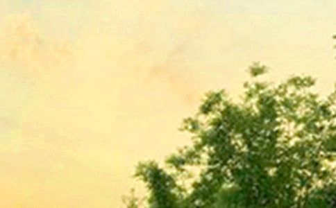 ��(ji��n)�̵��簲�������33��