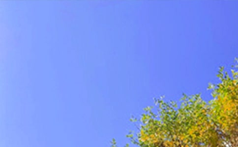 �����]���m�����ϰl(f��)���簲���Z����Ȧ�R��48��