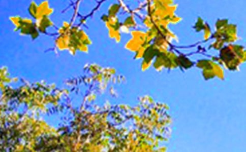 ��(sh��)�õĄ�(l��)־�簲�Z䛼���44�l