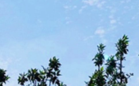 2020�꺆�̵��簲��������\��30�l