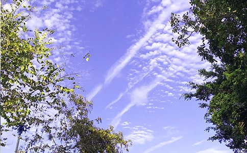 2022�����P(gu��n)��־�簲�Z�ժ�90�l