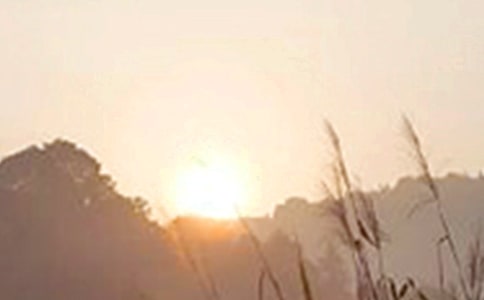 ���̵��簲������ӣ����x70�䣩