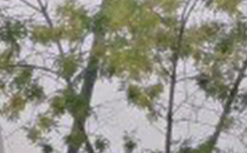 2021�곣�Ü�ܰ���簲���Z����Ȧ23��