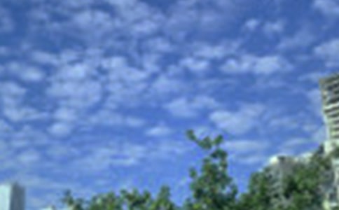 2021�ꌍ(sh��)�õ��簲������Ӷ����\��51�l