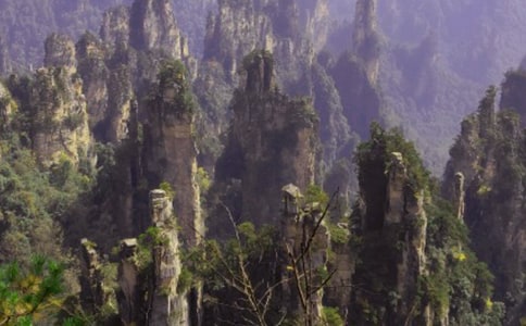 ���˵ď��ҽ�����[��]